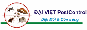 Công Ty TNHH Trừ Mối Đại Việt