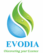 Công Ty TNHH EVODIA Việt Nam