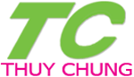 Kiểm Toán Thủy Chung - Công Ty TNHH Kiểm Toán Thủy Chung