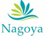 Keo 502 Nagoya - Công Ty TNHH MTV Thương Mại NAGOYA