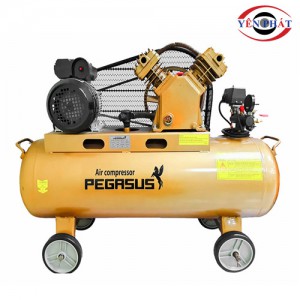 Máy nén khí công nghiệp Pegasus TM- V-0.25/12.5-120L