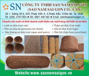 Sao Nam Sài Gòn
