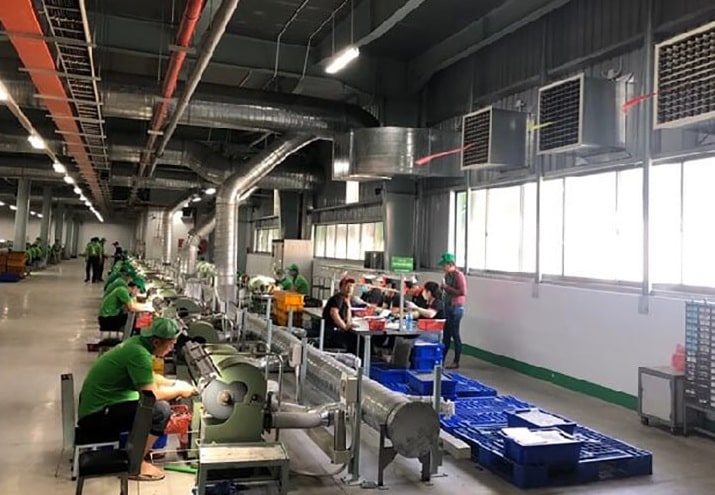 sản xuất quạt điện 2