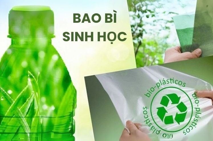 sản xuất bao bì 1